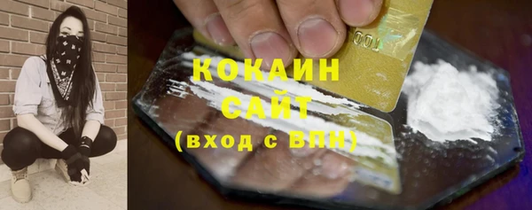 индика Нефтекумск