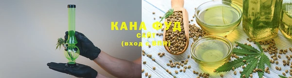 гашик Бородино