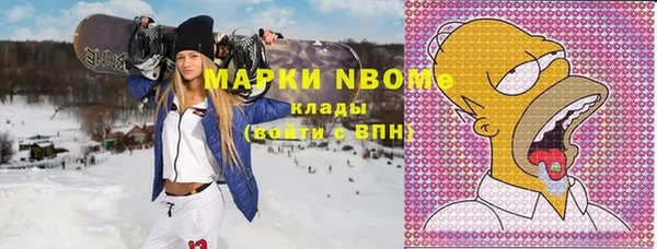 гашик Бородино