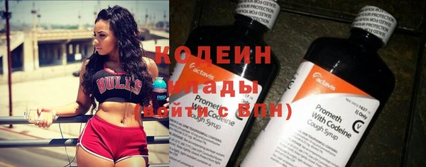 гашик Бородино
