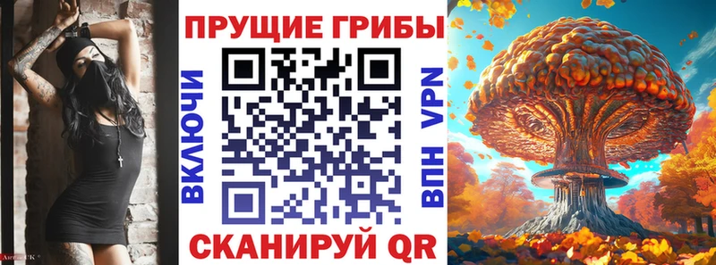 Псилоцибиновые грибы ЛСД  Гудермес 